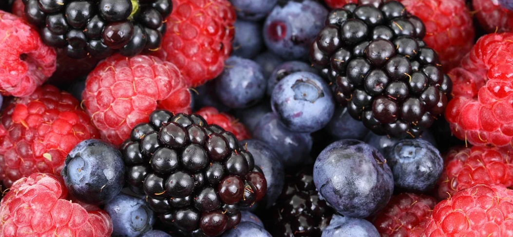 De nombreux fruits rouges